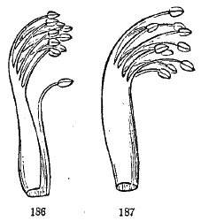 fig186-187