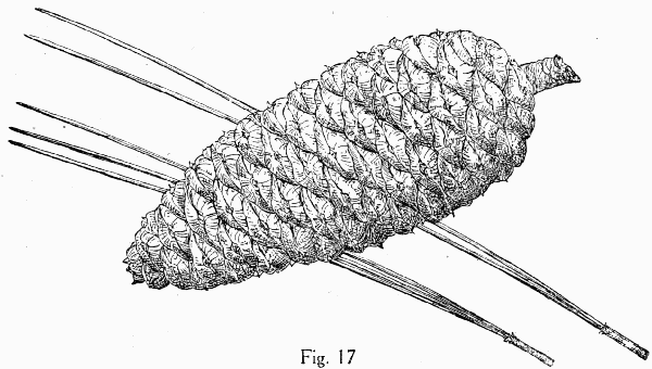 Fig. 17