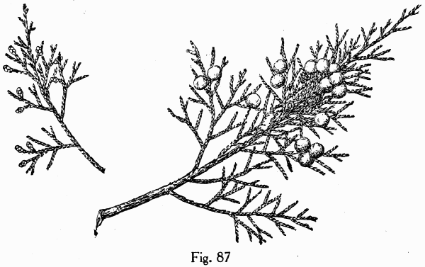 Fig. 87