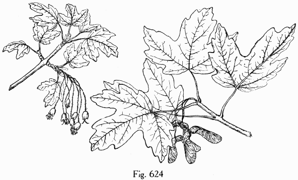 Fig. 624